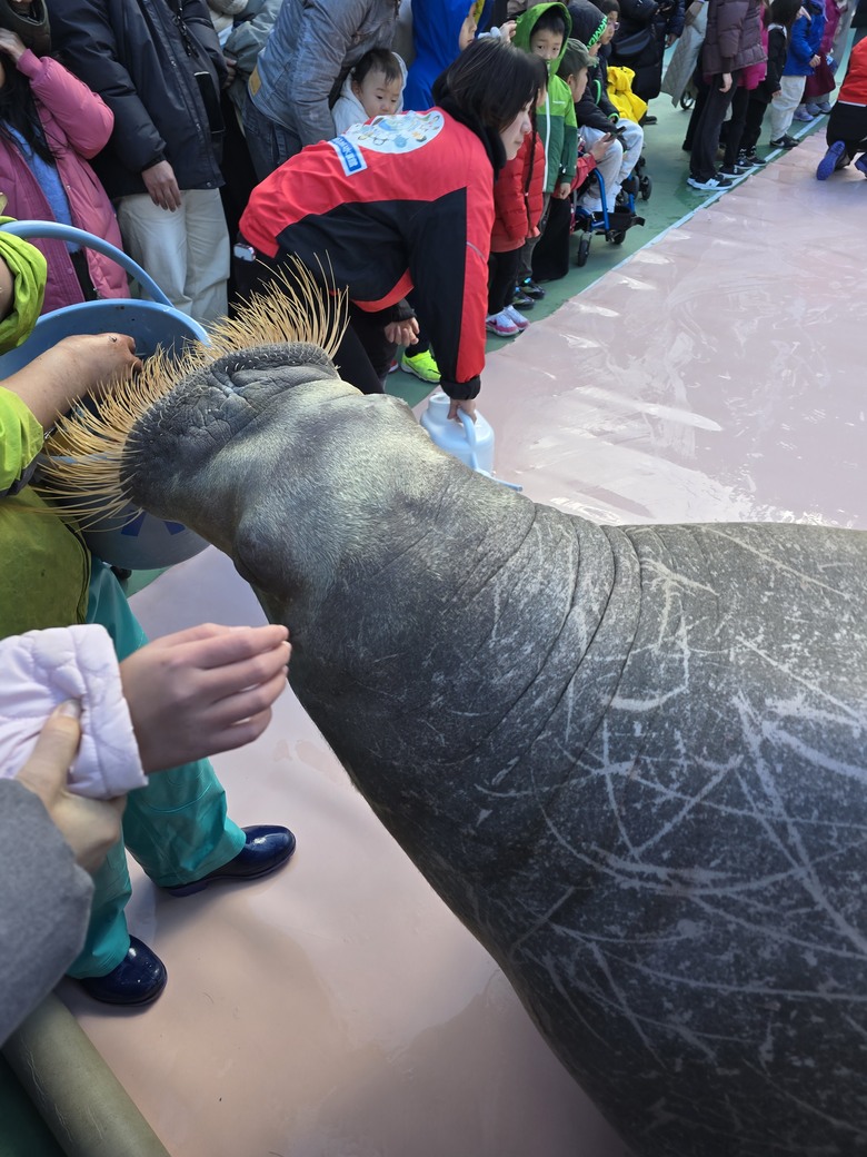 三重縣 伊勢海洋樂園 今天來點不一樣的水族館吧