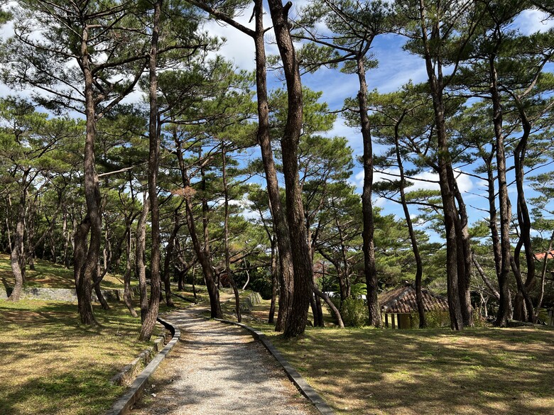 114年2月26日至114年3月2日沖繩行(114年2月27日第2天)