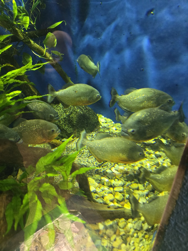 三重縣 伊勢海洋樂園 今天來點不一樣的水族館吧