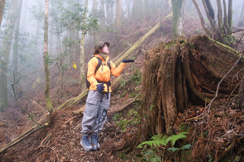 【哈加縱走】極具挑戰的中級山縱走路線 | 哈堪尼山.加里山
