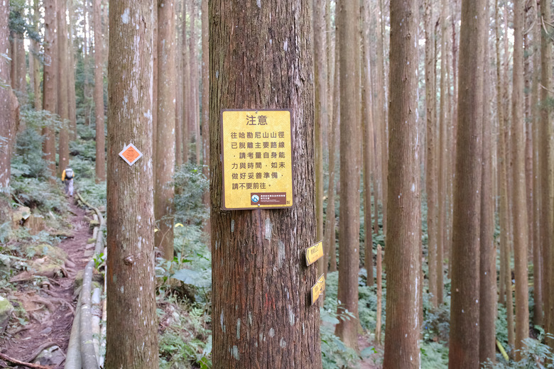 【哈加縱走】極具挑戰的中級山縱走路線 | 哈堪尼山.加里山