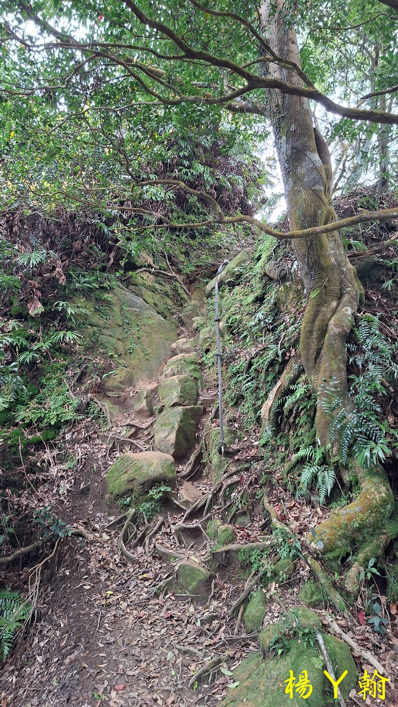 【郊山走走】拉繩攀爬登頂猴山岳前峰,猴山岳連走貓空圓山、岐山古道