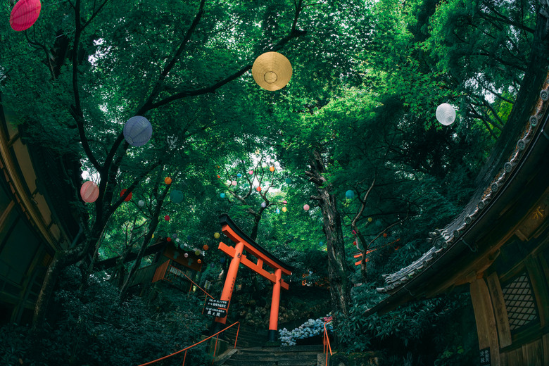 楊谷寺繡球花 - 和服雙女子漫遊 Kyoto