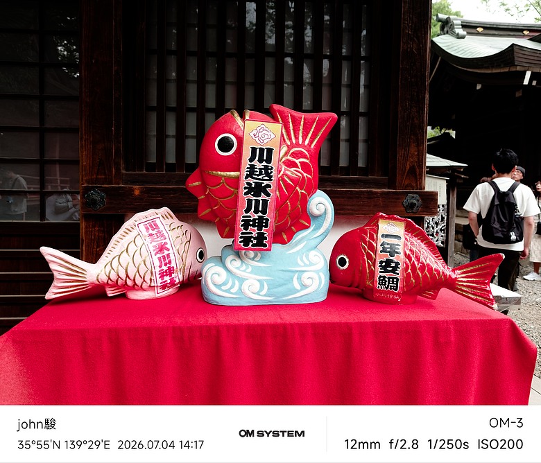 點我看大圖 再看一次東京第二日(川越(小江戶)、西櫻亭-川越店、米飛兔 MIFFY KITCHEN & BAKERY川越店、冰川神社、小川菊-鰻魚飯、新宿街頭貓咪、清州橋下、焼き豚ラーメン 東煌)(OM SYSTEM OM-1II、OM-3、OM-5II、TG-7)