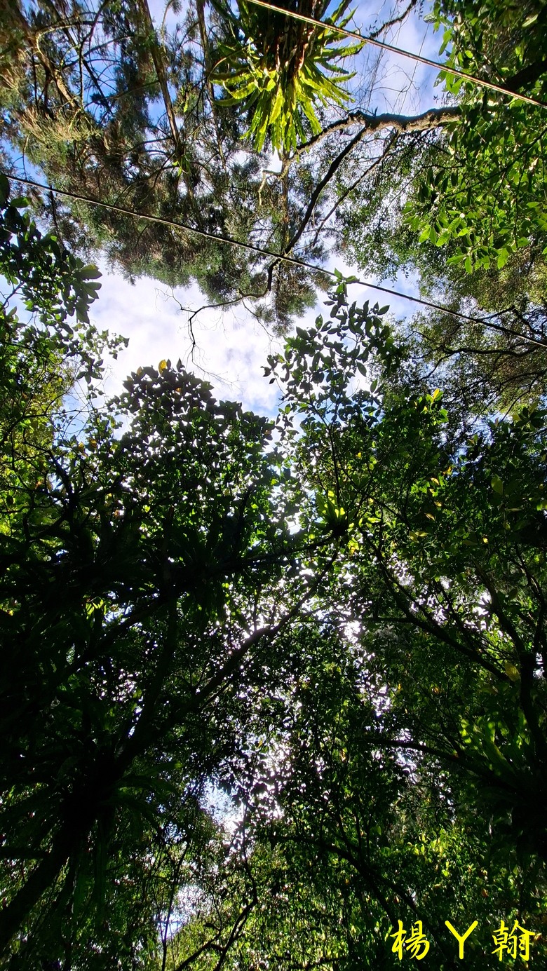 【郊山走走】拉繩攀爬登頂猴山岳前峰,猴山岳連走貓空圓山、岐山古道