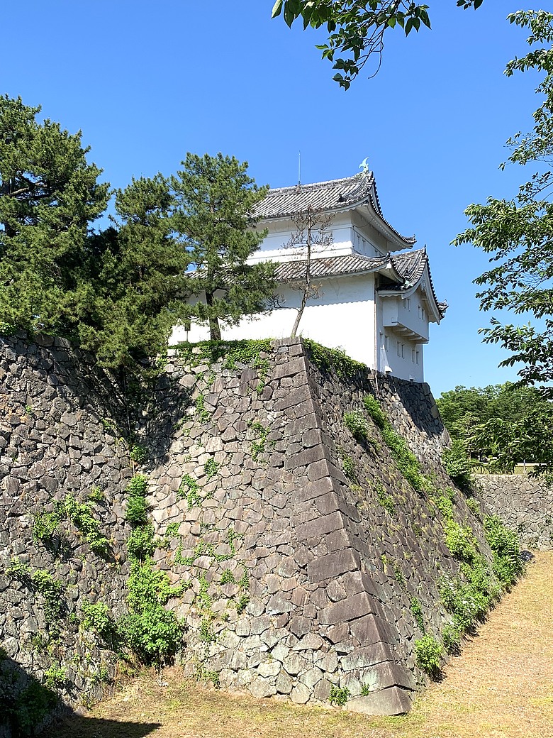 ＜日本＞2024～有個誤會但覺得照片很美的「名古屋一日遊」：東京外星人快閃店、大須觀音、名古屋城(？）、熱田神宮