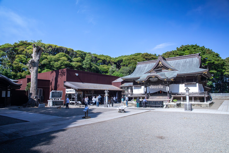 點我看大圖 ✈️ 趕在暑假人潮爆炸前,先衝一波日本上篇~海上鳥居絕景、現流海鮮隨意吃、森林系秘境參拜