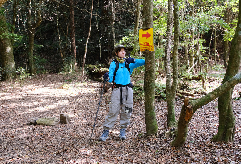 【哈加縱走】極具挑戰的中級山縱走路線 | 哈堪尼山.加里山