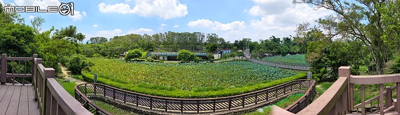 嘉義市立美術館、嘉義文化創意產業園區、嘉義城隍廟、嘉義市郵便局、文化路夜市，外掛美味可口的林聰明沙鍋魚頭、還有繁花似錦的臺南白河蓮花公園 — 2026 端午連假次日遊