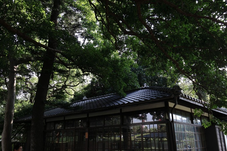 點我看大圖 【遊記】無法接近的可愛動物們,就交給長焦鏡頭吧,新竹市立動物園 | 大漠國渡