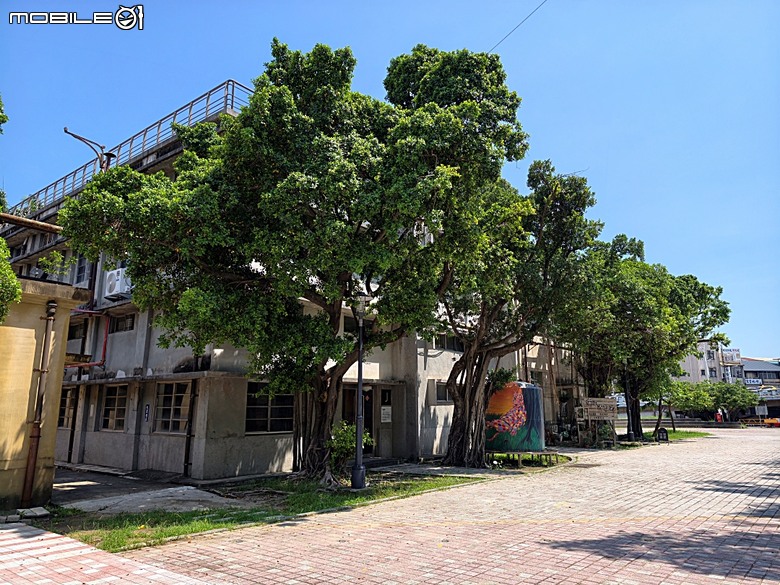 嘉義市立美術館、嘉義文化創意產業園區、嘉義城隍廟、嘉義市郵便局、文化路夜市，外掛美味可口的林聰明沙鍋魚頭、還有繁花似錦的臺南白河蓮花公園 — 2026 端午連假次日遊