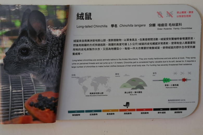 點我看大圖 【遊記】無法接近的可愛動物們,就交給長焦鏡頭吧,新竹市立動物園 | 大漠國渡