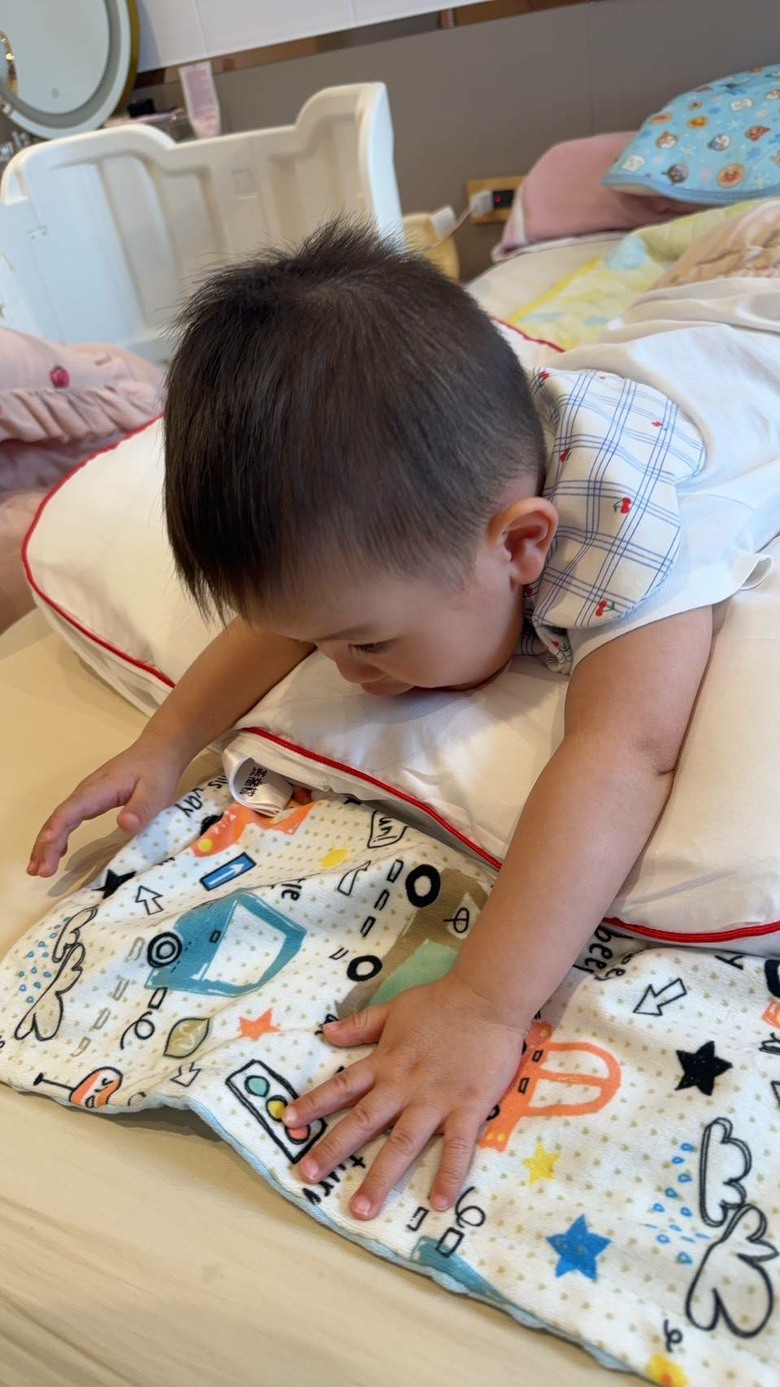 【心得】回不去的燕窩枕，我家小孩也超愛