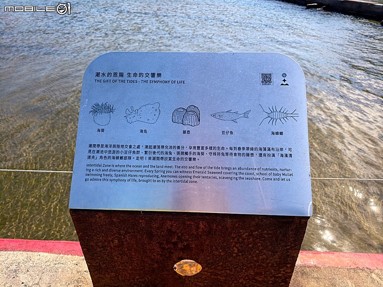 沙灘皮克敏探索之基隆市篇 — 大武崙沙灘與和平島地質公園