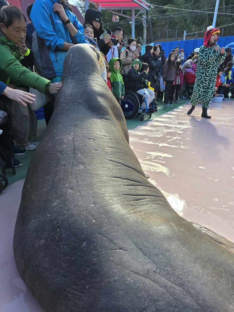 三重縣 伊勢海洋樂園 今天來點不一樣的水族館吧