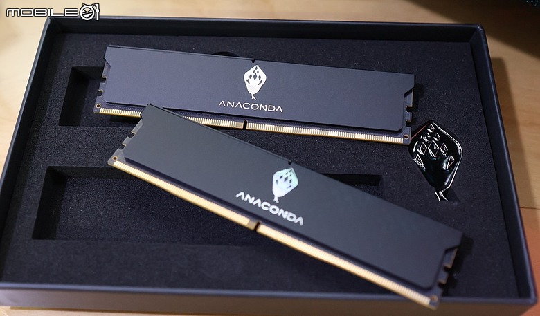 點我看大圖 ANACOMDA 巨蟒黑王蛇 DDR5-6400 10th 紀念版