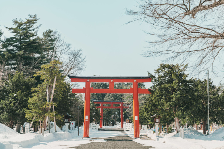 2026北海道之旅（下） A7CR/20-70G/35GM