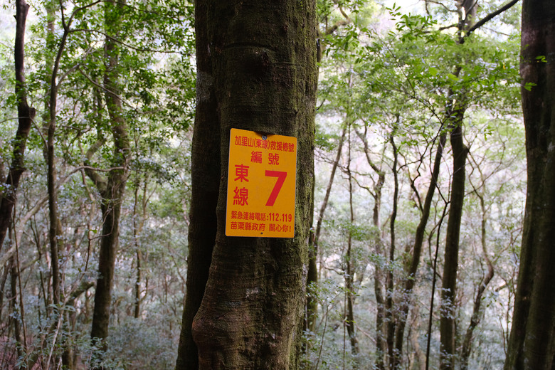 【哈加縱走】極具挑戰的中級山縱走路線 | 哈堪尼山.加里山