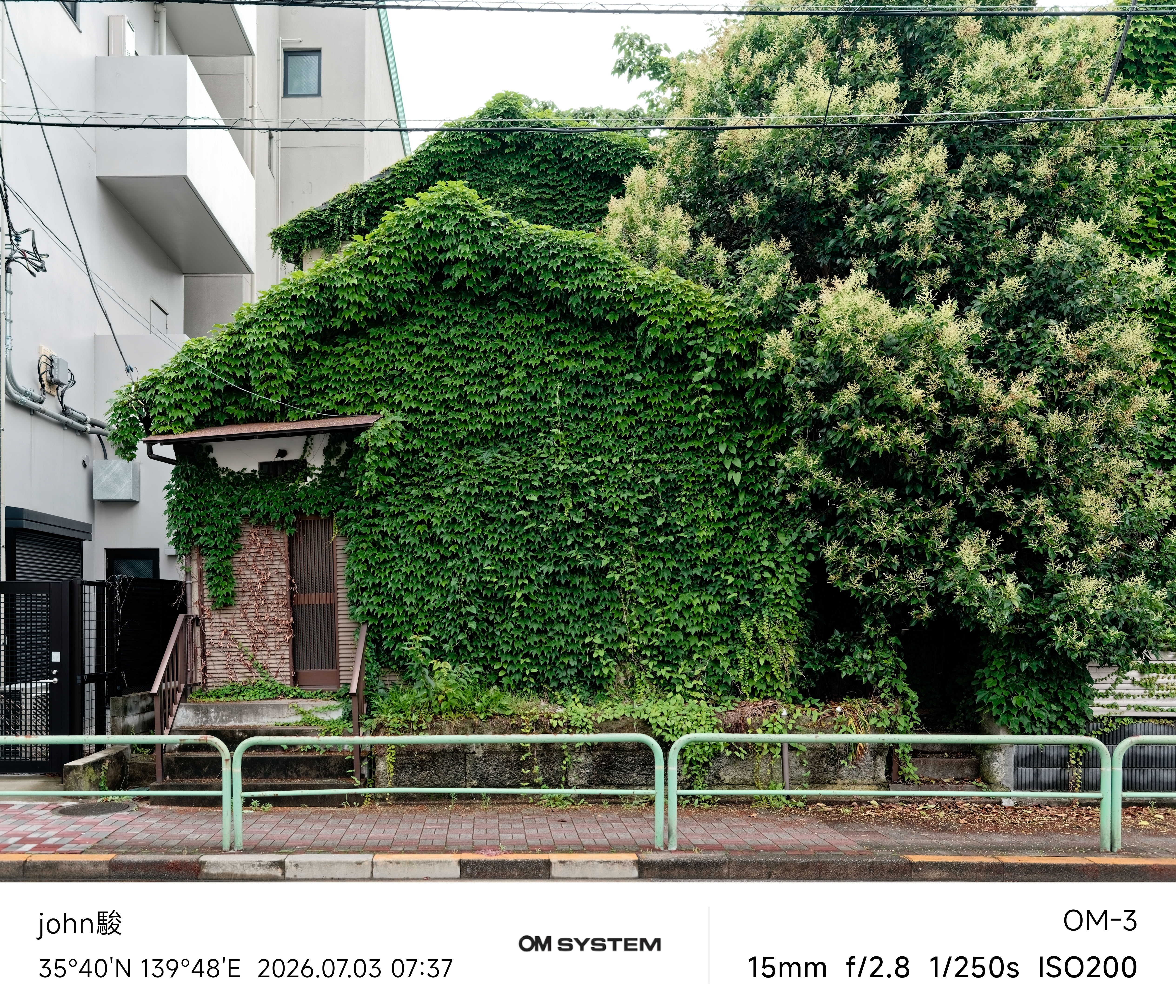 再看一次東京第一日(清澄庭園、藍瓶咖啡、OMSYSTEM PLAZA、炸牛排元村、東京鐵塔)(OM SYSTEM OM-1II、OM-3、OM-5II、TG-7)