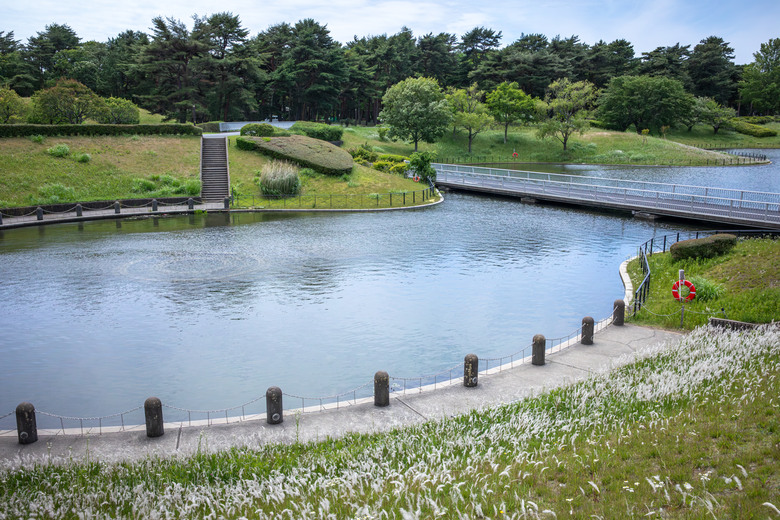 點我看大圖 ✈️ 趕在暑假人潮爆炸前,先衝一波日本上篇~海上鳥居絕景、現流海鮮隨意吃、森林系秘境參拜