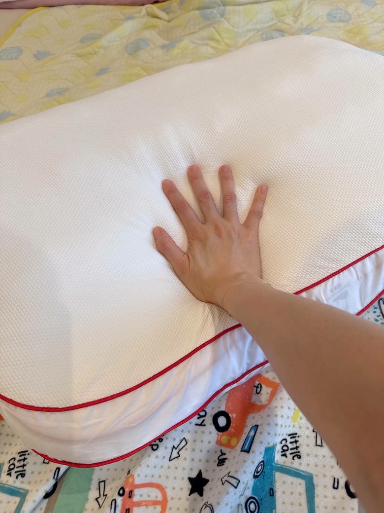 【心得】回不去的燕窩枕，我家小孩也超愛