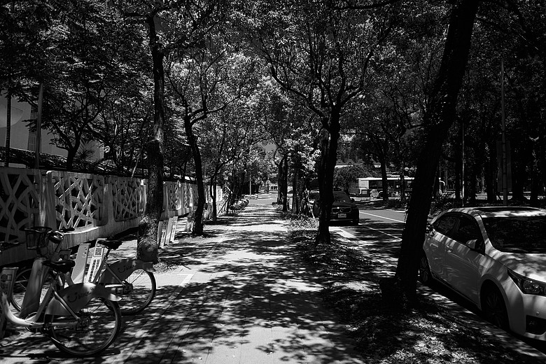 PANASONIC S9 | 唯卓仕 Viltrox AF 28mm F4.5 餅乾鏡 L-mount | 簡短心得分享