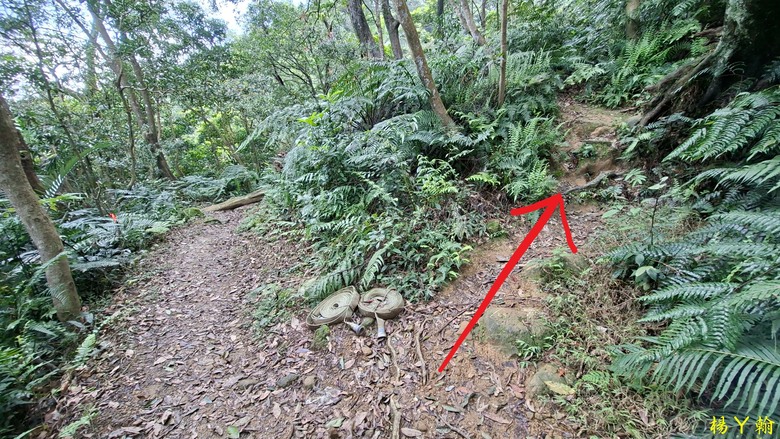 【郊山走走】拉繩攀爬登頂猴山岳前峰,猴山岳連走貓空圓山、岐山古道