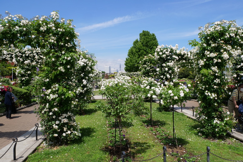 橫濱山下公園