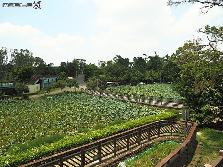 嘉義市立美術館、嘉義文化創意產業園區、嘉義城隍廟、嘉義市郵便局、文化路夜市，外掛美味可口的林聰明沙鍋魚頭、還有繁花似錦的臺南白河蓮花公園 — 2026 端午連假次日遊