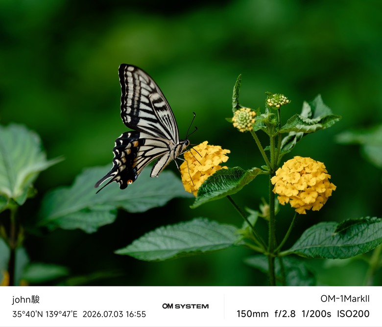 再看一次東京第一日(清澄庭園、藍瓶咖啡、OMSYSTEM PLAZA、炸牛排元村、東京鐵塔)(OM SYSTEM OM-1II、OM-3、OM-5II、TG-7)