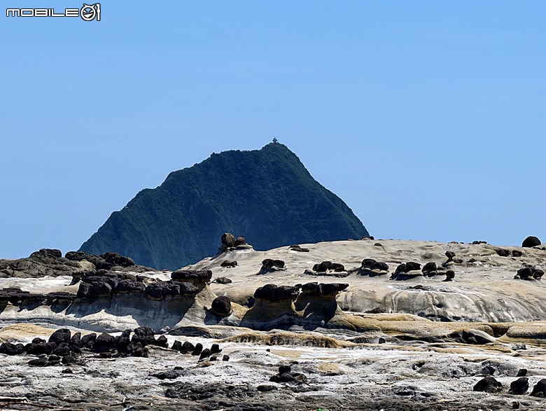 沙灘皮克敏探索之基隆市篇 — 大武崙沙灘與和平島地質公園
