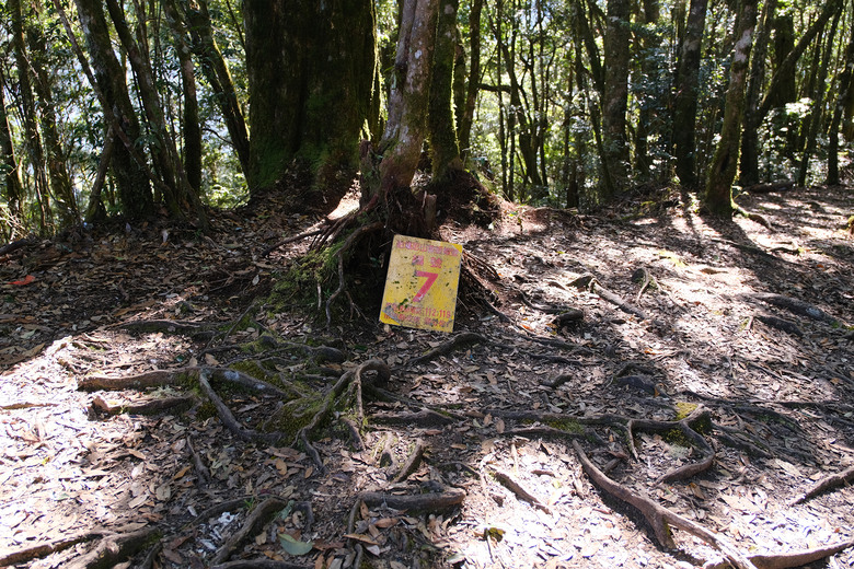 【哈加縱走】極具挑戰的中級山縱走路線 | 哈堪尼山.加里山