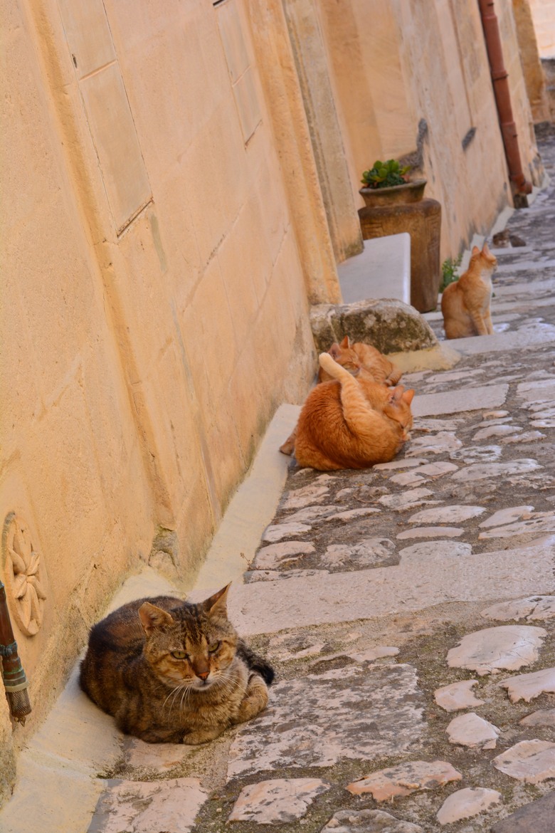 意大利🇮🇹南部之旅第二天 - Sassi di Matera 馬泰拉古城日出，Polignano a Mare濱海波利尼亞諾