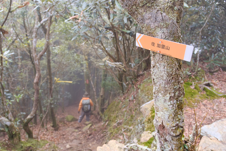 【哈加縱走】極具挑戰的中級山縱走路線 | 哈堪尼山.加里山
