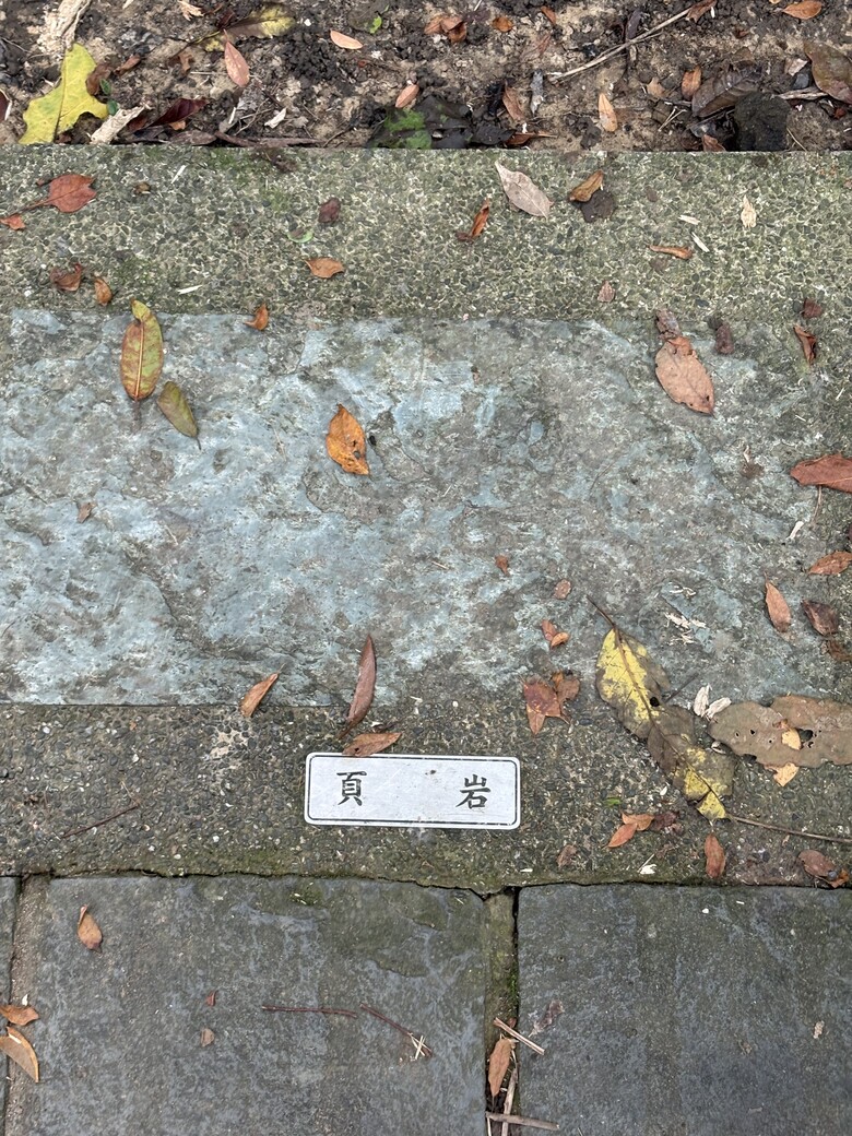 暑假第一站：內湖大溝溪，走進圓覺瀑布的一堂戶外自然課