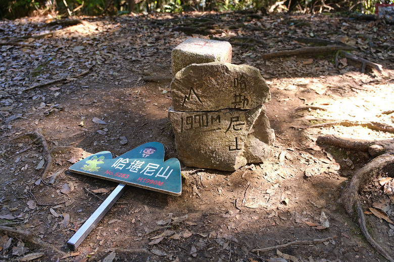 【哈加縱走】極具挑戰的中級山縱走路線 | 哈堪尼山.加里山