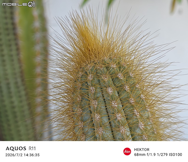 SHARP AQUOS R11 體驗｜補齊長焦、首創動態光律，日系美學更添溫度