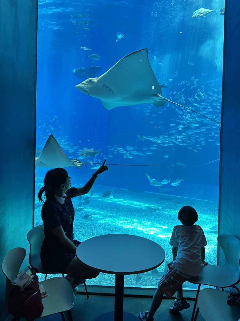沖繩本島親子自由行|帶孩子玩翻世界文化王國、美麗海水族館!親子度假這樣排超輕鬆