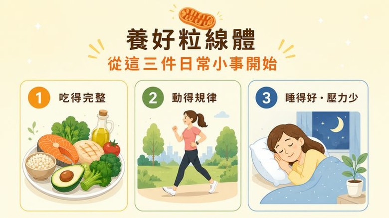 不是只有累！身體高耗能部位「續航力變差」恐是能量代謝拉警報