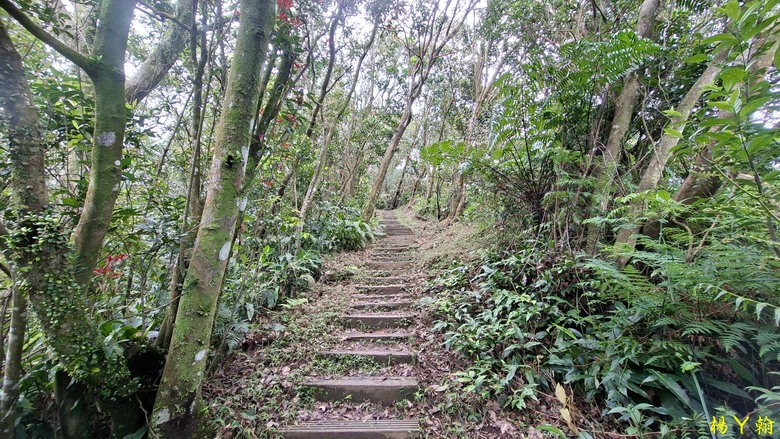 【郊山走走】拉繩攀爬登頂猴山岳前峰,猴山岳連走貓空圓山、岐山古道
