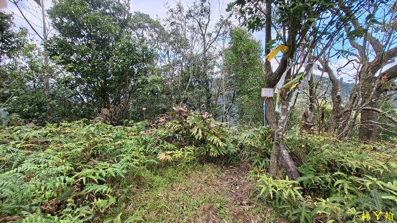 【郊山走走】拉繩攀爬登頂猴山岳前峰,猴山岳連走貓空圓山、岐山古道