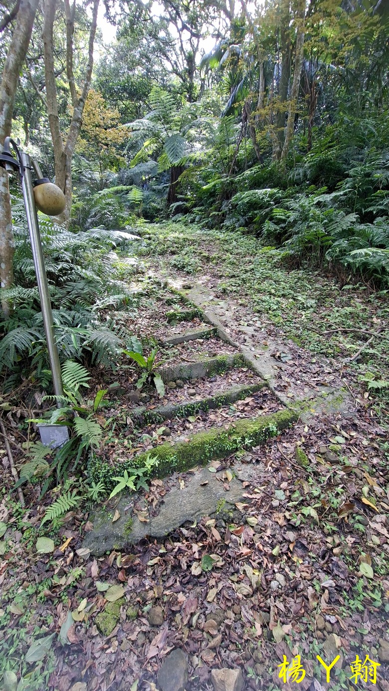 【郊山走走】拉繩攀爬登頂猴山岳前峰,猴山岳連走貓空圓山、岐山古道