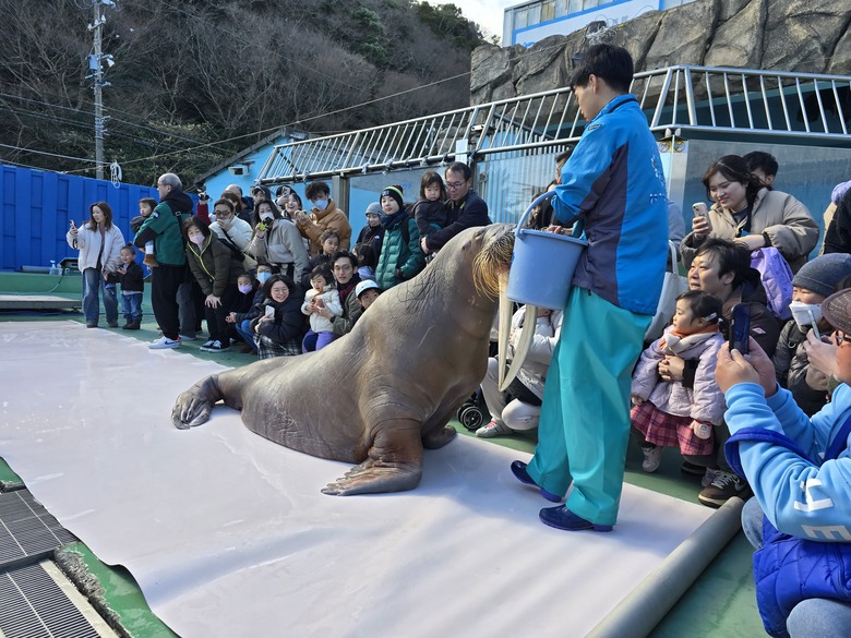 三重縣 伊勢海洋樂園 今天來點不一樣的水族館吧