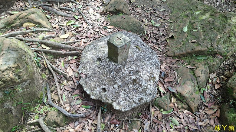 【郊山走走】拉繩攀爬登頂猴山岳前峰,猴山岳連走貓空圓山、岐山古道