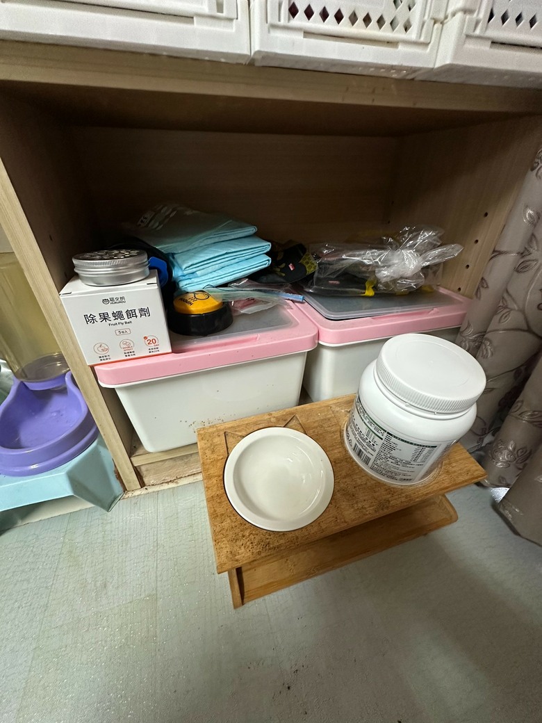 養貓養狗的注意~濕食害我家果蠅暴增,我的解方