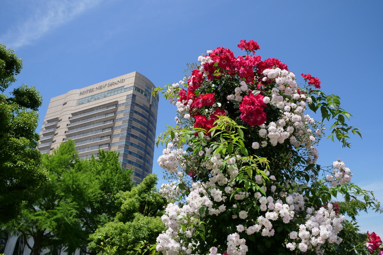 橫濱山下公園