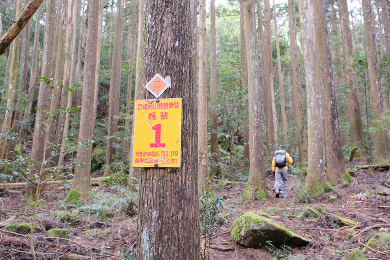 【哈加縱走】極具挑戰的中級山縱走路線 | 哈堪尼山.加里山