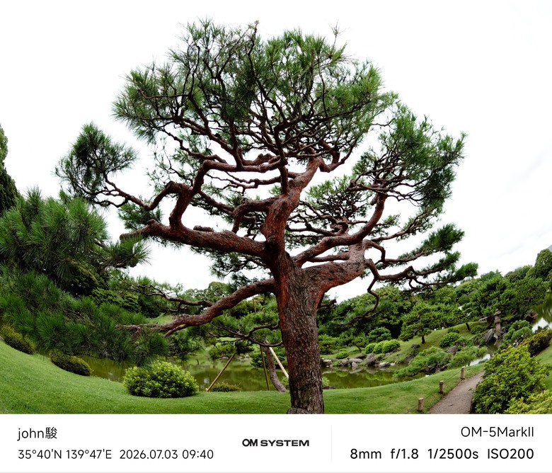 再看一次東京第一日(清澄庭園、藍瓶咖啡、OMSYSTEM PLAZA、炸牛排元村、東京鐵塔)(OM SYSTEM OM-1II、OM-3、OM-5II、TG-7)