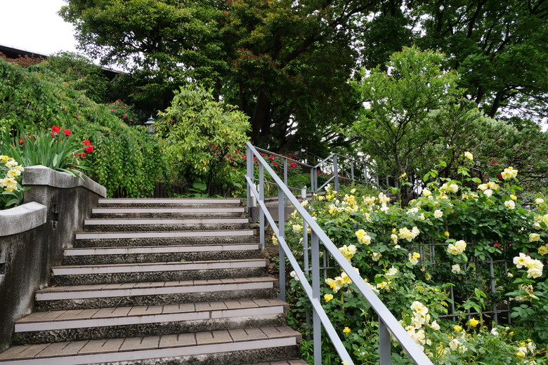 冷門景點 橫濱ブラフ１８番館與山手イタリア山庭園