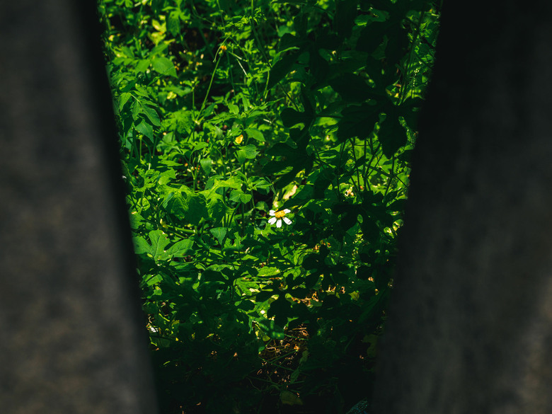 澎湖2日小旅行 OM3/8-25 F4/40-150 F4